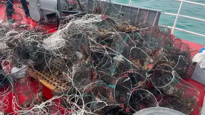 28 осетров, 13 тыс. рыб и 7 тюленей: как пограничники борются с браконьерами на Каспии, фото - Новости Zakon.kz от 06.05.2023 15:06