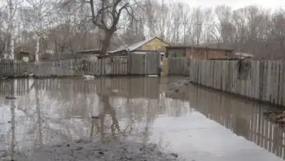 Zakon.kz, фото - Новости Zakon.kz от 25.03.2015 15:35