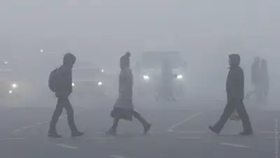 slovoidilo.ua, фото - Новости Zakon.kz от 29.12.2019 14:31