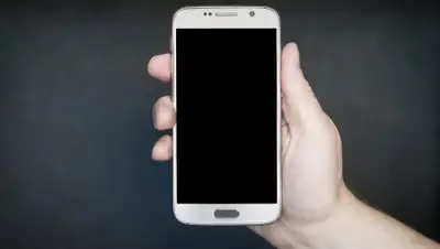 pixabay.com, фото - Новости Zakon.kz от 29.10.2019 22:48