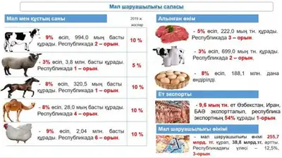 Zakon.kz, фото - Новости Zakon.kz от 29.01.2019 08:51