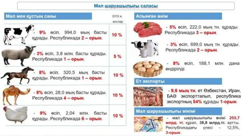 В Туркестанской области ввели в оборот свыше 1 тысяч га орошаемых земель