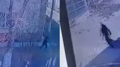 кадр из видео, фото - Новости Zakon.kz от 03.05.2021 19:17