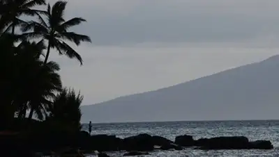 Фото: © РИА Новости / Наталья Селиверстова, фото - Новости Zakon.kz от 14.01.2018 09:57