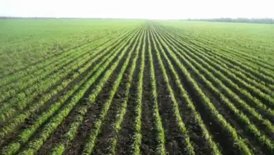 Zakon.kz, фото - Новости Zakon.kz от 18.06.2015 22:58