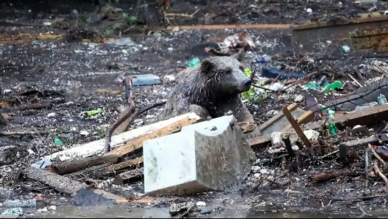 На месте зоопарка в Тбилиси будет создана рекреационная зона