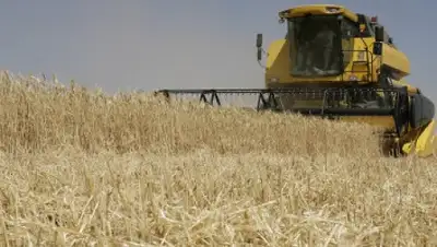 Zakon.kz, фото - Новости Zakon.kz от 14.11.2014 23:40