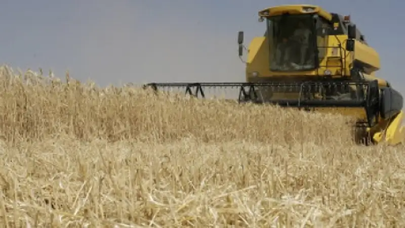 Более 18 млн тонн зерна уже собрано в Казахстане