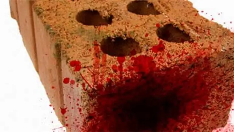 Житель Кызылорды кирпичом до смерти забил соседа по даче 