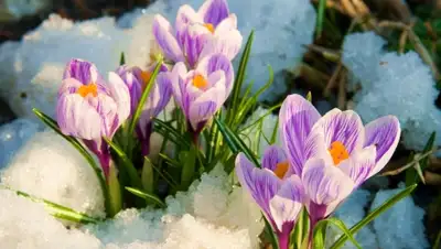 Zakon.kz, фото - Новости Zakon.kz от 05.03.2016 14:45