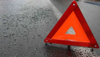 Hyser, фото - Новости Zakon.kz от 15.04.2019 11:55