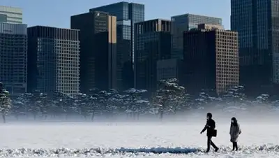 © AFP 2018 / Toshifumi Kitamuro, фото - Новости Zakon.kz от 12.02.2018 14:17