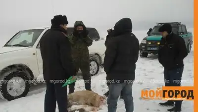 Zakon.kz, фото - Новости Zakon.kz от 14.03.2017 02:21