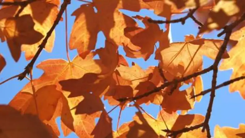 Прекращение осадков и потепление ожидаются в Казахстане