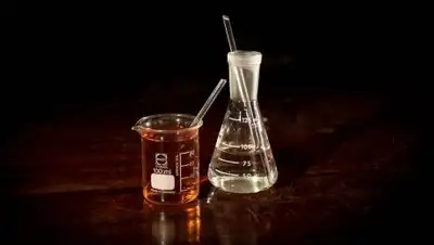 PxHere, фото - Новости Zakon.kz от 13.08.2021 20:57