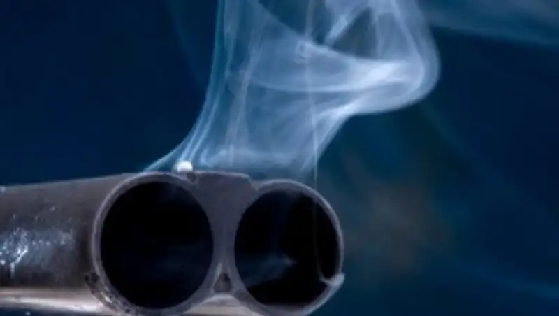 В Карагандинской области 72-летний пенсионер застрелил жену и незваного гостя на даче