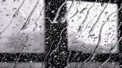 pushkinska.net, фото - Новости Zakon.kz от 28.06.2018 16:52