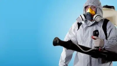 Открытые источники, фото - Новости Zakon.kz от 04.12.2018 22:54