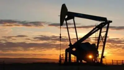 Zakon.kz, фото - Новости Zakon.kz от 15.02.2014 02:13