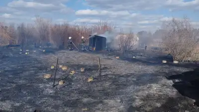 В Павлодаре в пятый раз горят дачные массивы  