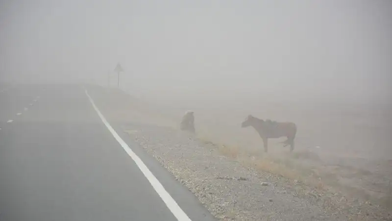 В семи областях Казахстана объявлено штормовое предупреждение