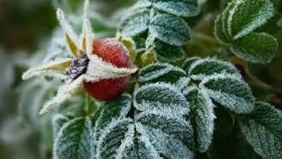 Zakon.kz, фото - Новости Zakon.kz от 31.08.2015 13:00