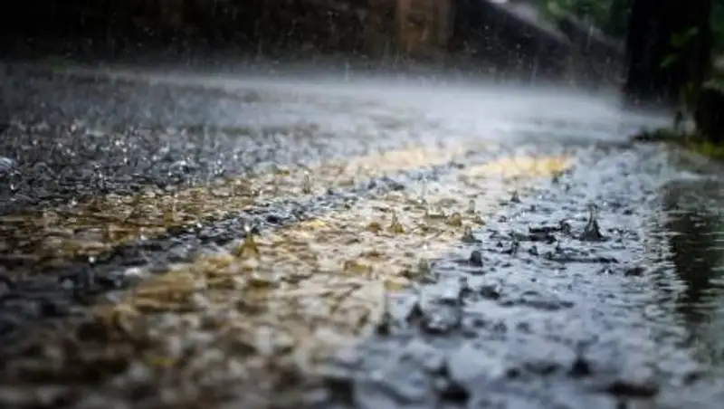 Сильные дожди с грозами и градом ожидаются в Казахстане