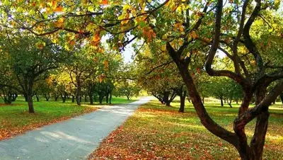 из открытых источников, фото - Новости Zakon.kz от 26.09.2018 09:30