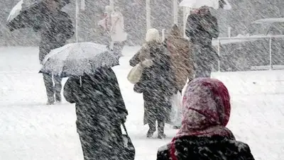 Picgra, фото - Новости Zakon.kz от 30.01.2019 21:43