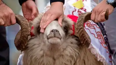 ummet.kz, фото - Новости Zakon.kz от 12.07.2021 19:01