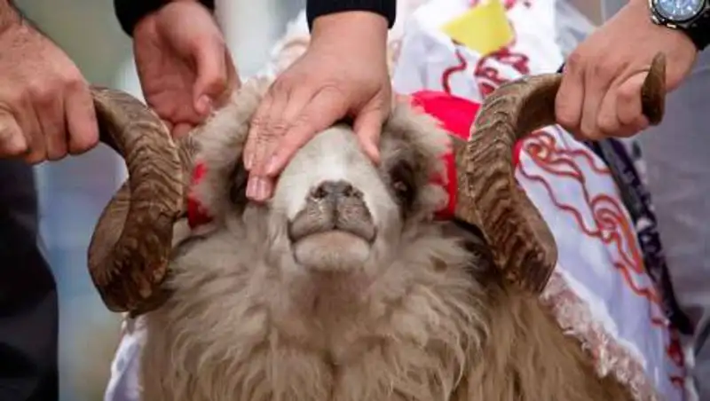 Курбан айт в Казахстане пройдет в онлайн-формате