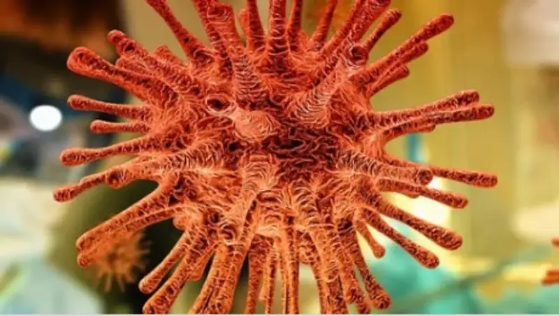 Можно ли заразиться коронавирусом от покойника