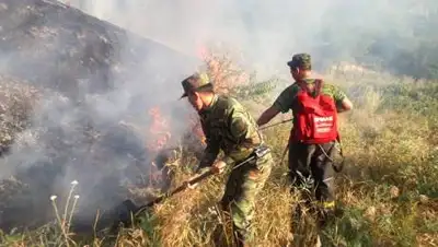 МЧС РК, фото - Новости Zakon.kz от 21.10.2020 10:32