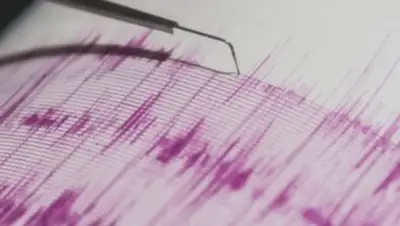 Zakon.kz, фото - Новости Zakon.kz от 03.02.2016 23:44