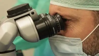 из открытых источников, фото - Новости Zakon.kz от 13.11.2018 14:33