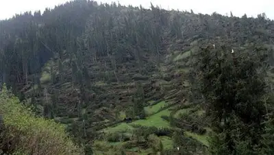 Zakon.kz, фото - Новости Zakon.kz от 02.01.2014 14:54