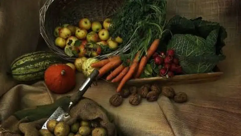 Аграрии Алматинской и Кызылординской областей представят продукцию на столичной ярмарке