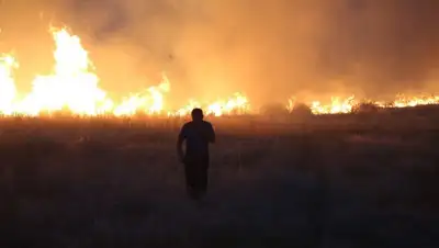 степь, фото - Новости Zakon.kz от 17.07.2022 23:16