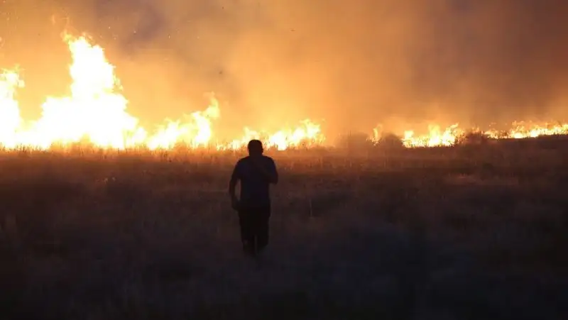 Тысячи людей эвакуированы из-за лесных пожаров в Европе