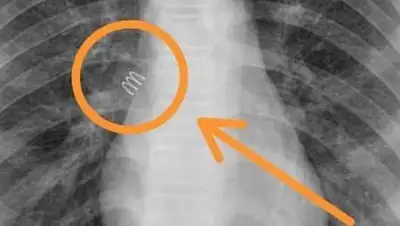 lada.kz, фото - Новости Zakon.kz от 13.10.2020 22:31