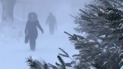 astana.gov.kz, фото - Новости Zakon.kz от 05.02.2019 19:44