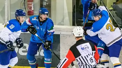 Фото: шайба.kz, фото - Новости Zakon.kz от 07.12.2017 08:01