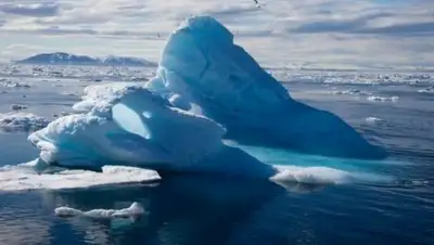 Zakon.kz, фото - Новости Zakon.kz от 21.09.2017 21:50