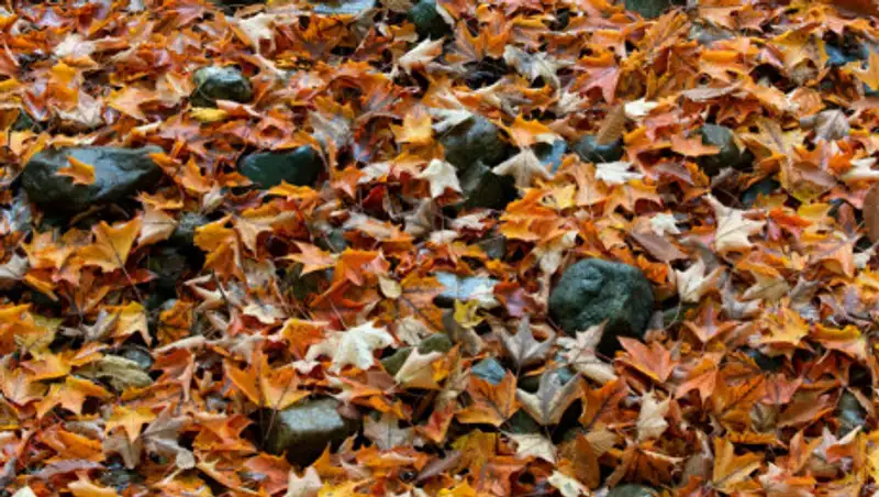 Переменчивая погода ждет казахстанцев в ближайшие дни