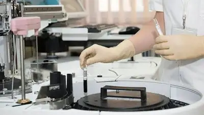 Pixabay, фото - Новости Zakon.kz от 28.11.2020 07:34