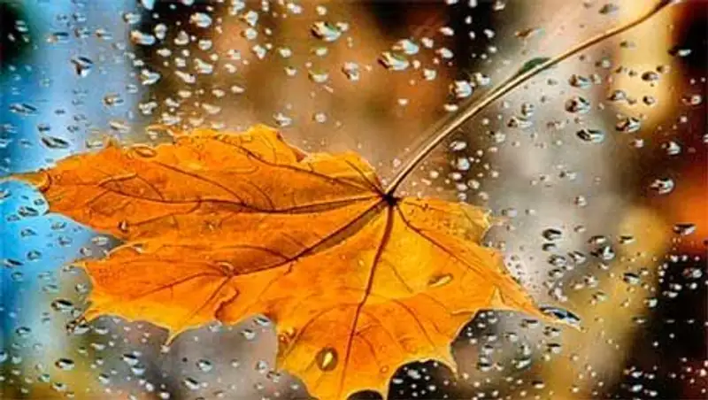 Синоптики прогнозируют сегодня погоду без осадков в большинстве регионов страны