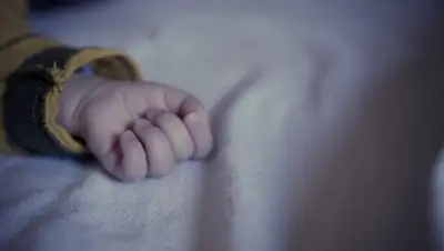 riafan.ru, фото - Новости Zakon.kz от 29.11.2019 22:57