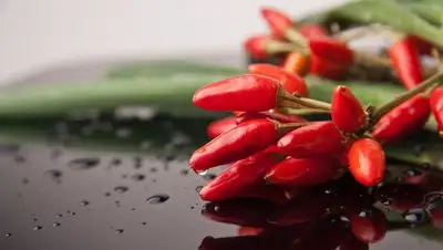 советы, фото - Новости Zakon.kz от 05.11.2022 01:37