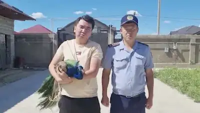 Шымкент, фото - Новости Zakon.kz от 22.06.2022 12:53