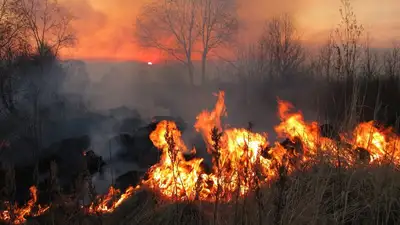 пожар, фото - Новости Zakon.kz от 04.06.2023 17:20